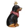 Rottweiler Glass Ornament – Old World Christmas